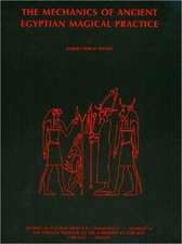 The Mechanics of Ancient Egyptian Magical Practice