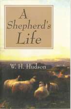 Shepherd's Life