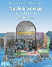 Nuclear Energy in the 21st Century