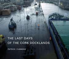 The Last Days of the Cork Docklands