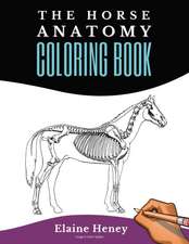 Horse Anatomy Coloring Book For Adults - Self Assessment Equine Coloring Workbook