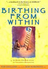 Birthing from Within: An Extra-Ordinary Guide to Childbirth Preparation