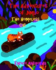 The Adventures of Jimbo, the Homeless Cat: Explorations of Social Work in a Changing Health Care Environment