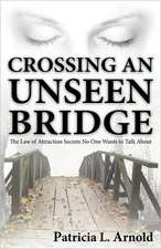 Crossing an Unseen Bridge: The Law of Attraction Secrets No One Wants to Talk about