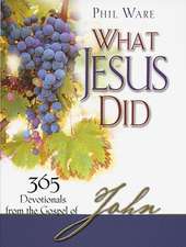 What Jesus Did: 365 Devotionals from the Gospel of John