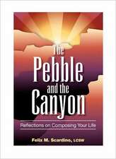 The Pebble and the Canyon