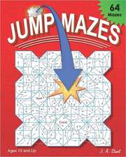 Jump Mazes: Essays on Life and Love and Letters