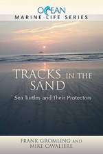 Tracks in the Sand