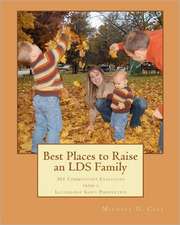 Best Places to Raise an Lds Family: 361 Communities Evaluated from a Latter-Day Saint Perspective