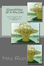 Education of a Falcon