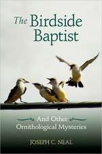 The Birdside Baptist