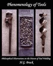 Phenomenology of Tools