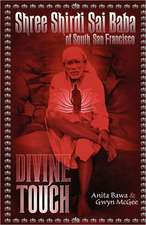 Shree Shirdi Sai Baba of South San Francisco: Divine Touch