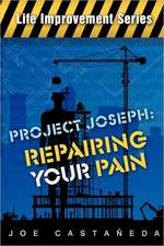 Project Joseph: Repairing Your Pain