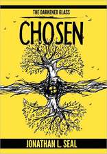 The Darkened Glass: Chosen