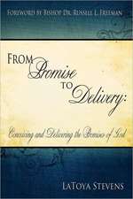 From Promise to Delivery: Conceiving and Delivering the Promises of God