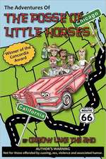 The Adventures of the Posse of Little Horses