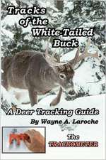 Tracks of the White-Tailed Buck