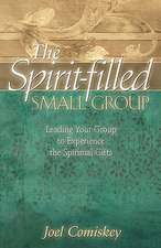 The Spirit-Filled Small Group: Leading Your Group to Experience the Spiritual Gifts