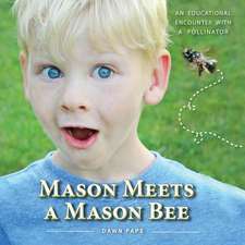 Mason Meets a Mason Bee