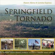 Springfield Tornado