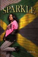 Sparkle: -- A Guide to Advancing Your Nursing Career and Salary