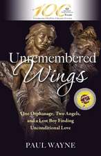 Unremembered Wings