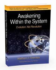 Awakening Within the System