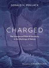 Charged: The Unexpected Role of Electricity in the Workings of Nature