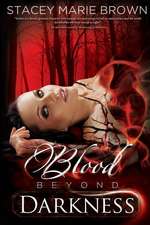 Blood Beyond Darkness, Book #4