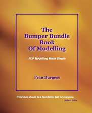 The Bumper Bundle Book of Modelling