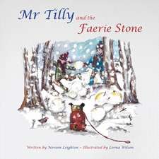 MR Tilly and the Faerie Stone