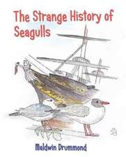 Drummond, M: The Strange History of Seagulls