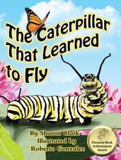 The Caterpillar That Learned to Fly