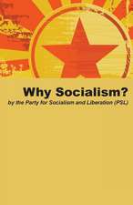 Why Socialism?