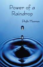 Power of a Raindrop