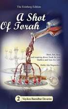 A Shot of Torah Volume 2