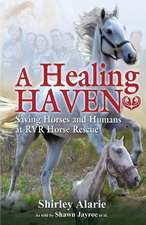 A Healing Haven