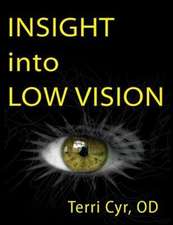 Insight Into Low Vision