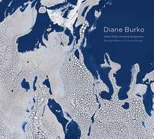 Diane Burko: Glacial Shifts, Changing Perspectives