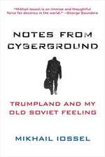 Notes from Cyberground