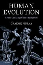 Human Evolution: Genes, Genealogies and Phylogenies