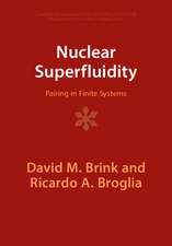 Nuclear Superfluidity: Pairing in Finite Systems