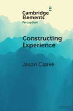Constructing Experience