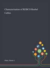 Characterisation of REBCO Roebel Cables