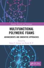 Multifunctional Polymeric Foams: Advancements and Innovative Approaches