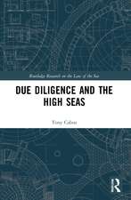 Due Diligence and the High Seas