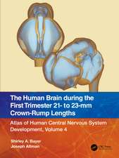 The Human Brain during the First Trimester 21- to 23-mm Crown-Rump Lengths: Atlas of Human Central Nervous System Development, Volume 4