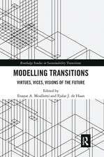 Modelling Transitions: Virtues, Vices, Visions of the Future