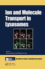 Ion and Molecule Transport in Lysosomes